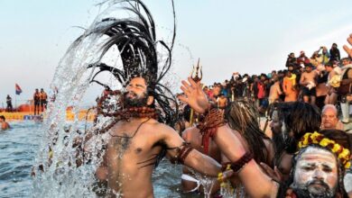 Photo of गंगा जल में 50 गुना रोगाणुओं को मारकर सेकेंडों में उसका आरएनए हैक कर ले रहा बैक्टीरियोफेज