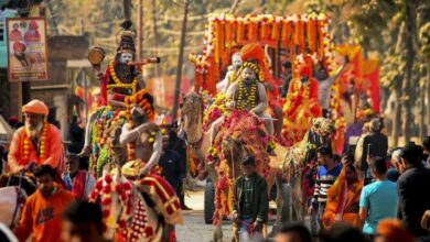 Photo of संतों के साथ बेजुबानों को भी रास आ रही है महाकुम्भ नगर की भव्य दुनिया