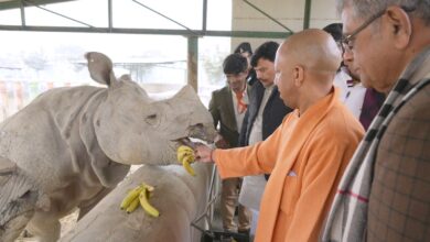 Photo of जानवरों के मन में भी होती है संवेदनाः सीएम योगी