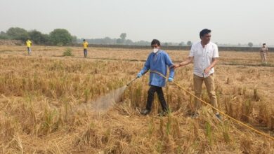 Photo of पराली के बदले वितरित की गई डेढ़ लाख कुंतल से अधिक खाद