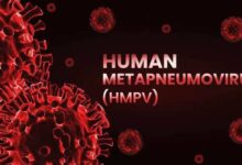 Photo of HMPV Virus In India: एचएमपीवी को लेकर जम्मू-कश्मीर में स्वास्थ्य विभाग अलर्ट, आइसोलेशन वार्ड तैयार