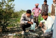 Photo of महाकुम्भ के बाद अब संगम की रेती उगलेगी सोना, पांच लाख प्रतिमाह कमाई का अवसर