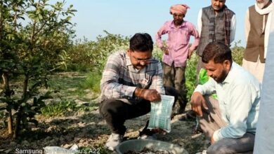 Photo of महाकुम्भ के बाद अब संगम की रेती उगलेगी सोना, पांच लाख प्रतिमाह कमाई का अवसर