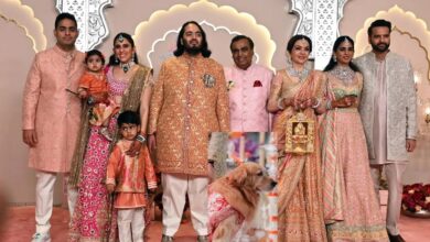 Photo of अंबानी परिवार के जिगर के टुकड़े ‘हैप्पी’ का हुआ निधन, अनंत अंबानी का था सबसे प्यारा साथी, जीता था लग्जरी लाइफस्टाइल