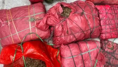 Photo of सेंट्रल ब्यूरो ऑफ नारकोटिक्स ने पकड़ा गया 48 किलो गांजा