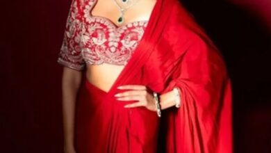 Photo of मैं कॉफी शॉप भी साड़ी पहनकर जाती हूं, ये मेरा पसंदीदा परिधान : लक्ष्मी मांचू