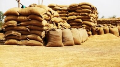 Photo of केंद्र ने चालू सीजन में एमएसपी पर 256 एलएमटी गेहूं खरीदा, 62 हजार करोड़ रुपए से ज्यादा का किया भुगतान