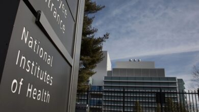 Photo of अमेरिकी जज ने ट्रंप को दिया झटका, कहा-एनआईएच का अनुदान रद्द करना अवैध