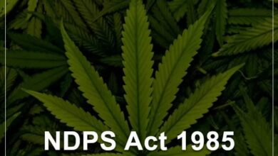 Photo of शिमला में हेरोइन के साथ दो युवक गिरफ्तार