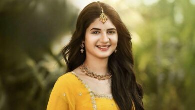Photo of ‘बजरंगी भाईजान’ के बाद अब साउथ फिल्मों में दिखेंगी हर्षाली मल्होत्रा