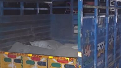Photo of यमुनानगर: चोरी के सीमेंट बैग सहित टैंपो को पुलिस ने पकड़ा