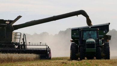 Photo of बांग्लादेश अगले पांच वर्षों तक अमेरिका से हर साल 7 लाख टन गेहूं का आयात करेगा
