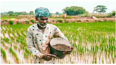 Photo of यूपी के किसानों में बढ़ा तिलहन का क्रेज