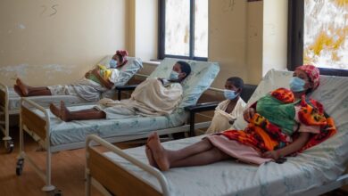 Photo of भूख से जूझते लोगों की संख्या में लगातार तीसरे वर्ष गिरावट, 2024 में वैश्विक स्तर पर सुधार : संयुक्त राष्ट्र