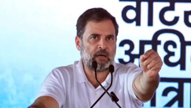 Photo of आवारा कुत्तों पर सुप्रीम कोर्ट के नए आदेश का राहुल गांधी ने किया स्वागत