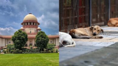 Photo of SC on Stray Dogs : सुप्रीम कोर्ट के आदेश के बाद केंद्र ने बदला रुख, राज्यों पर तय होगी जवाबदेही