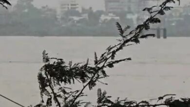 Photo of भरूच : नर्मदा का जलस्तर 24 फुट पर, गोल्डन ब्रिज के आसपास सतर्कता बरतने के निर्देश