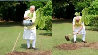 Photo of किंग चार्ल्स तृतीय द्वारा दिए कदंब के पौधे को मिली प्रधानमंत्री आवास में जगह