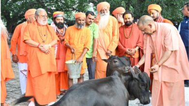 Photo of सीएम योगी ने की गोसेवा,भवानी और भोलू को दुलारा, पुंज को भी खिलाया गुड़