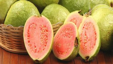 Photo of अमरूद में छिपा है कई बीमारियों का इलाज