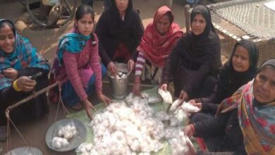 Photo of शाहजहांपुर की नेहा कश्यप ने मशरूम खेती से रचा स्वावलंबन का कीर्तिमान