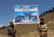 Photo of भारत ने ‘#23for23’ पहल के साथ मनाया अंतरराष्ट्रीय हिम तेंदुआ दिवस