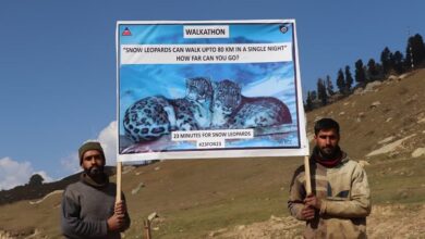 Photo of भारत ने ‘#23for23’ पहल के साथ मनाया अंतरराष्ट्रीय हिम तेंदुआ दिवस