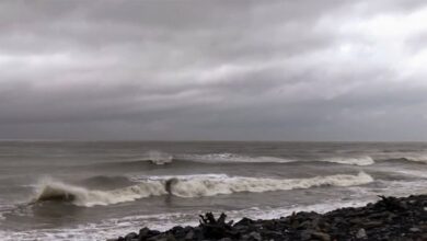 Photo of चक्रवात ‘मोंथा’ ने मचाई तबाही, दक्षिण-पूर्वी भारत में भारी बारिश की चेतावनी, तमिलनाडु के दो जिलों में स्कूल बंद, 60 ट्रेनें रद्द