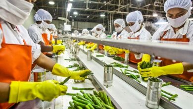 Photo of योगी सरकार में प्रॉसेसिंग हब बन रहा उत्तर प्रदेश