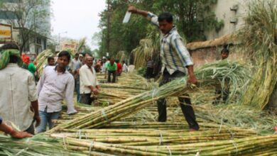 Photo of गन्ना किसानों को योगी सरकार का बड़ा उपहार, गन्ना मूल्य ₹30 प्रति कुन्तल बढ़ा