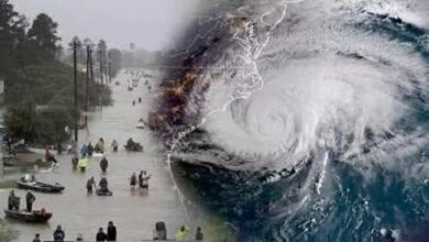 Photo of चक्रवात मोन्था के चलते आंध्र प्रदेश में अलर्ट जारी