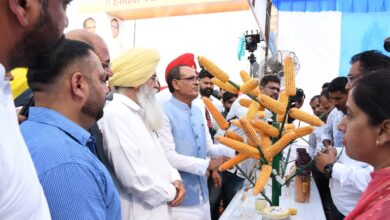 Photo of केंद्रीय कृषि मंत्री चाैहान ने किया लुधियाना में भारतीय मक्का अनुसंधान संस्थान भवन का लोकार्पण