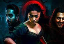 Photo of दूसरे दिन ‘थामा’ की कमाई में आई गिरावट