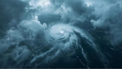 Photo of चक्रवाती तूफान मोन्था के प्रभाव से उत्तर प्रदेश के कई जिलों में हो रही बारिश