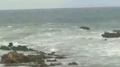 Photo of बंगाल की खाड़ी में उठा चक्रवात ‘दितवाह, आंध्र प्रदेश के कई जिलों में भारी बारिश का रेड अलर्ट