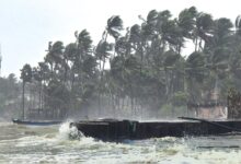 Photo of चक्रवाती तूफान दित्वा से तमिलनाडु में तीन मौतें, उड़ानें-ट्रेनें रद्द, 57 हजार हेक्टेयर फसल जलमग्न