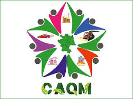 Photo of दिल्ली की वायु गुणवत्ता में भारी गिरावट, केंद्र ने ग्रेप 3 के प्रतिबंध लागू किए