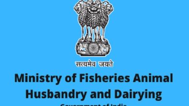 Photo of केंद्र ने गहरे समुद्र में मछली पकड़ने के नए नियम जारी किए, जानें इसके क्या हैं फायदे