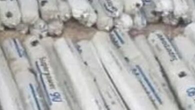 Photo of उत्तराखंडः अल्मोड़ा में मिली 161 जिलेटिन छड़ें, पुलिस ने कब्जे में लिया
