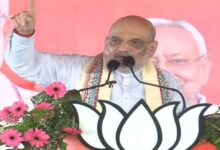 Photo of नई शिक्षा नीति और योजनाओं से दिव्यांगजनों को मिल रहा समान अवसर: डॉ. वीरेंद्र कुमार