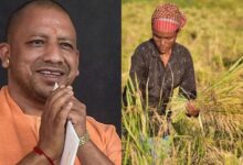 Photo of योगी सरकार ने रखा ध्यान तो उन्नत हुई खेती और खुशहाल हुआ किसान
