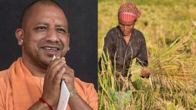Photo of योगी सरकार ने रखा ध्यान तो उन्नत हुई खेती और खुशहाल हुआ किसान