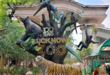 Photo of नवाब वाजिद अली शाह प्राणी उद्यान को संवारने में 1.91 करोड़ रूपये खर्च कर रही योगी सरकार