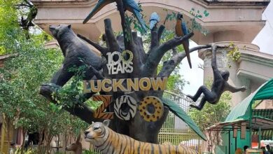 Photo of नवाब वाजिद अली शाह प्राणी उद्यान को संवारने में 1.91 करोड़ रूपये खर्च कर रही योगी सरकार