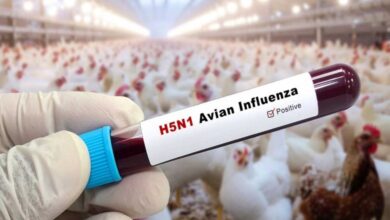 Photo of केरल में बर्ड फ्लू की दस्तक के बाद तमिलनाडु में अलर्ट