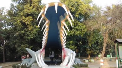 Photo of कुकरैल वन क्षेत्र में हो रहा ईको टूरिज्म सुविधाओं का विकास, मिलेगा प्रकृति का आनंद