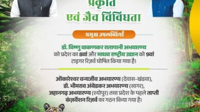 Photo of वार्ष‍िकी 2025 : मध्य प्रदेश ने इस वर्ष पर्यावरण संरक्षण और वन्यजीव सुरक्षा की दिशा में उठाए बड़े कदम