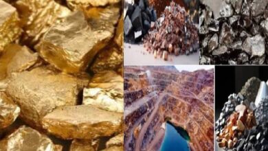 Photo of वार्ष‍िकी 2025 : सोने की चमक से दुर्लभ खनिजों के आत्मनिर्भरता का नया केंद्र बना मध्य प्रदेश