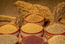 Photo of मिलेट्स पुनरोद्धार कार्यक्रम के अंतर्गत योगी सरकार ने बुंदेलखंड के 6 कृषि विज्ञान केंद्रों में तैयार कराए मिलेट्स प्रोसेसिंग प्लांट