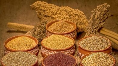 Photo of मिलेट्स पुनरोद्धार कार्यक्रम के अंतर्गत योगी सरकार ने बुंदेलखंड के 6 कृषि विज्ञान केंद्रों में तैयार कराए मिलेट्स प्रोसेसिंग प्लांट